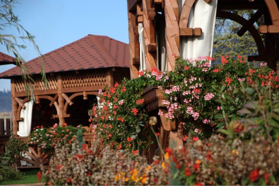 Pensiunea Cabana Soimul Comăneşti エクステリア 写真